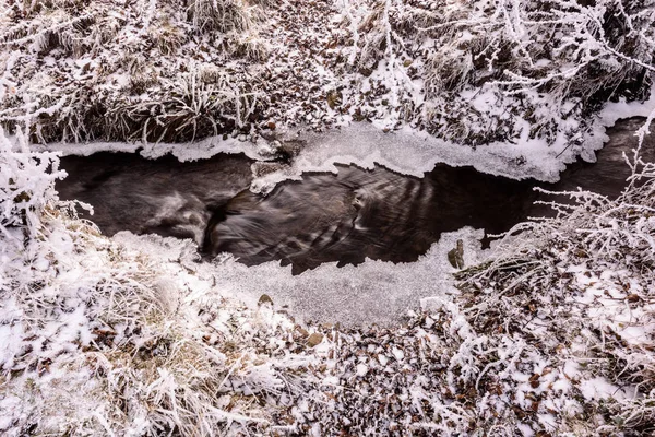 Winter Creek bed.