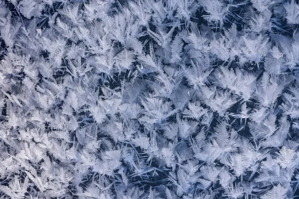Ice Crystal Texture.