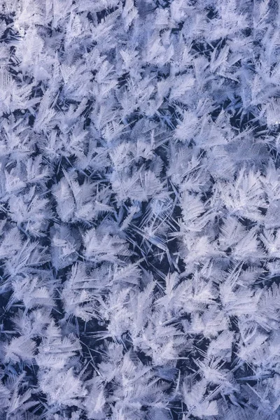 Textura de cristal de gelo . — Fotografia de Stock