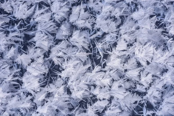 Ice Crystal Texture.
