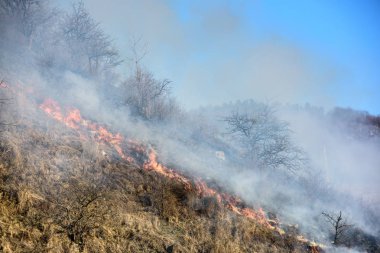 Duman ve hava kirliliği.