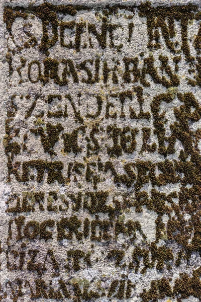 Мосс в форме букв на старом надгробии . — стоковое фото
