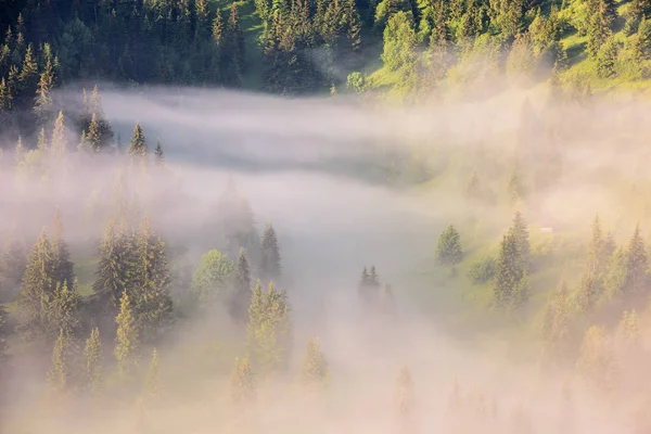 Foggy Landscape in Mountains. — Stock Photo, Image