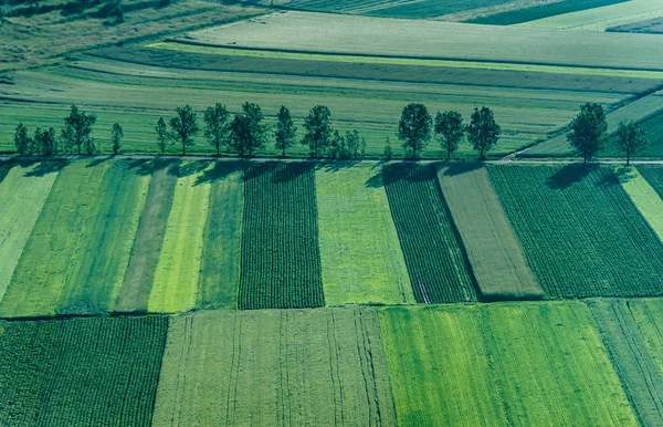 Campo agrícola, terra arável . — Fotografia de Stock