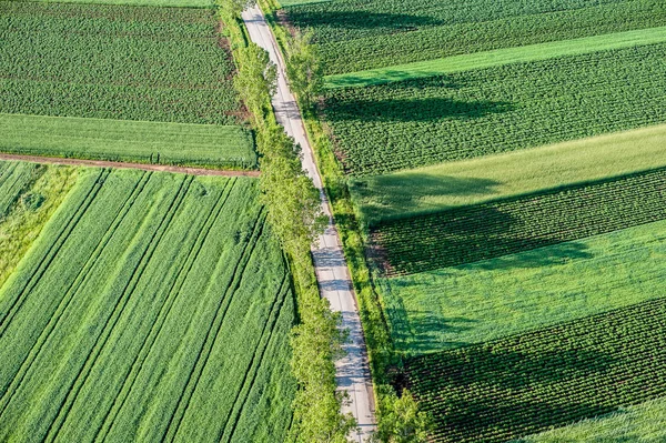 Campo agrícola, terra arável . — Fotografia de Stock