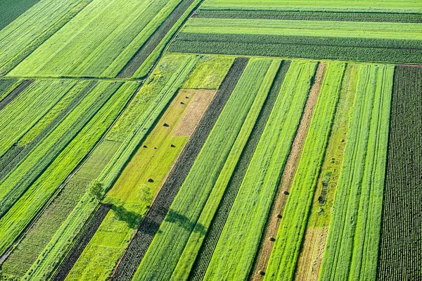 Campo agrícola, terra arável . — Fotografia de Stock