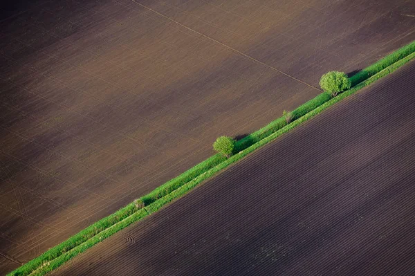 Campo agrícola, terra arável . — Fotografia de Stock