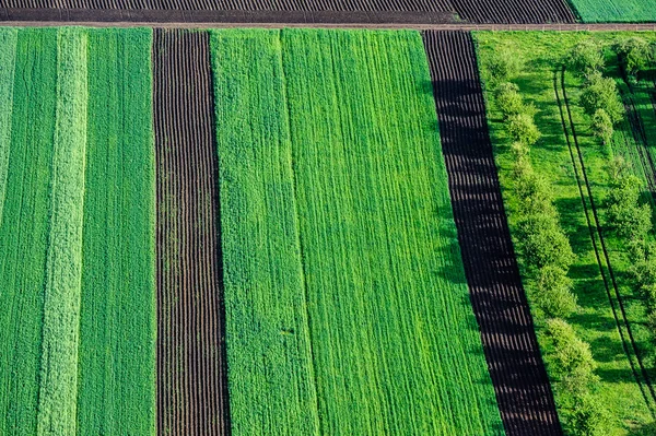 Campo agrícola, terra arável . — Fotografia de Stock