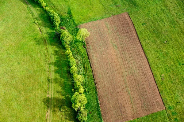 Campo agrícola, terra arável . — Fotografia de Stock