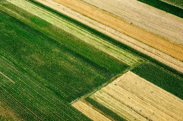 Campo agrícola, terra arável . — Fotografia de Stock