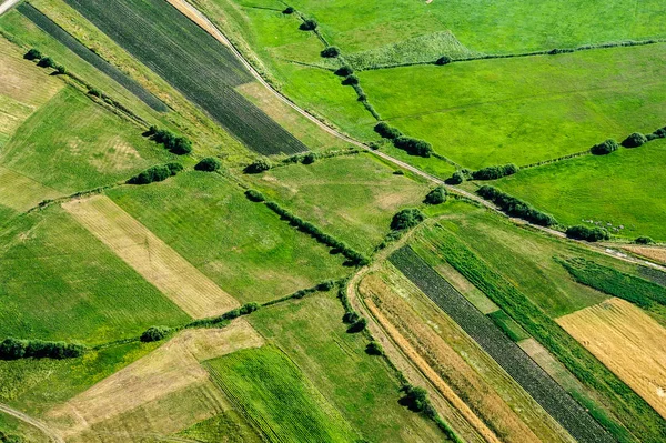 Agricultural Field, Arable Land. — Stock Photo, Image