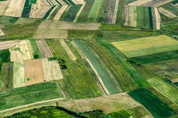Γεωργικό τομέα, καλλιεργήσιμη γη. — Φωτογραφία Αρχείου