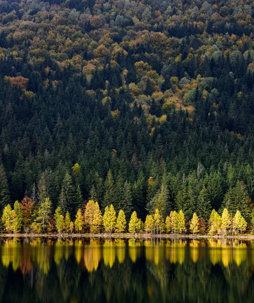 Göl sonbahar manzarası.