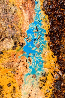 Renk arka plan doku doğa. 