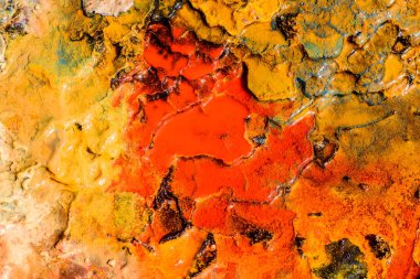 Renk arka plan doku doğa. 