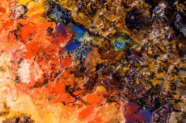 Renk arka plan doku doğa. 