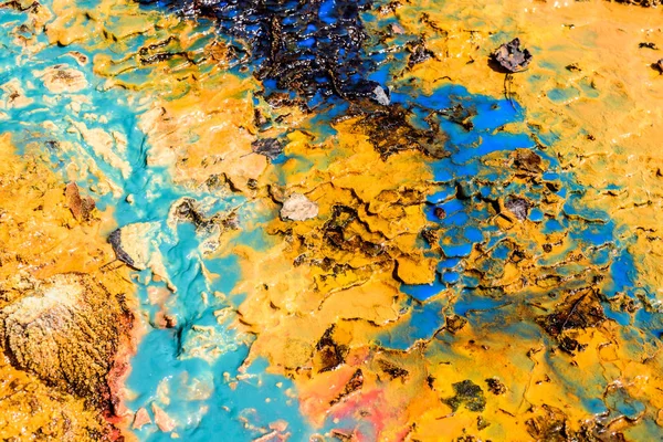 Renk arka plan doku doğa. 