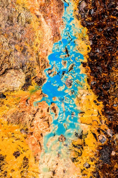 Renk arka plan doku doğa. 