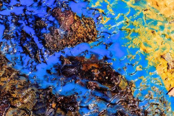 Renk arka plan doku doğa. 