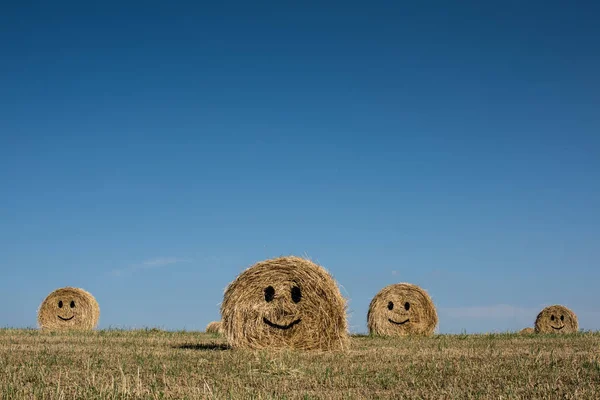 Balíky Slámy Emotikony Dekorativní Balíky Slámy Dožínky Plakát — Stock fotografie