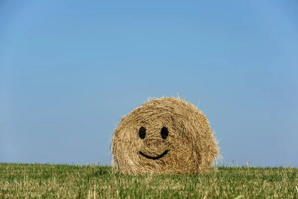 Strohballen Emoticon Dekorative Strohballen Beim Erntedankfest — Stockfoto