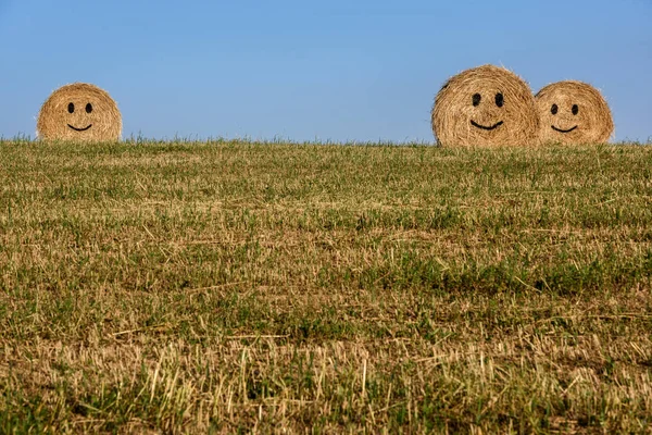 Dekorative Strohballen Beim Erntedankfest Plakat Strohballen Emoticon — Stockfoto