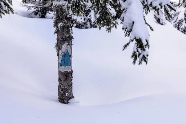 Hiking Trail Işareti Mavi Turizm Işareti Büyük Kar Dağ Yolunda — Stok fotoğraf