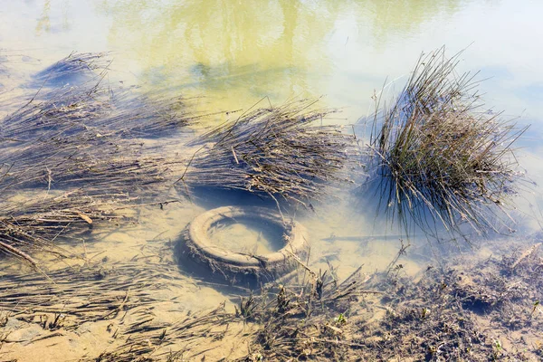 Eski lastik otomobil lastiği nehir altta. Çevre sorunu, ekoloji felaket kavramı
