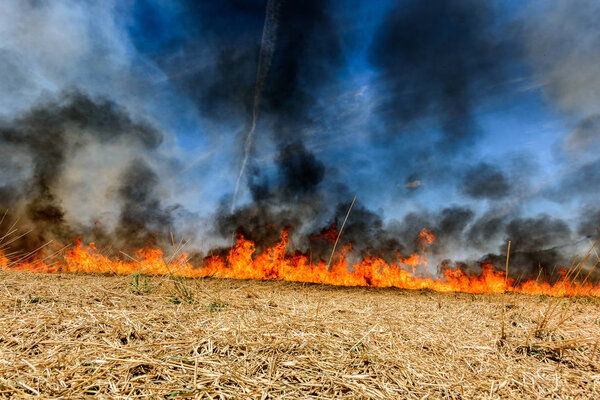Burning agricultural field, smoke pollution. Image of global and their natural disaster risk.