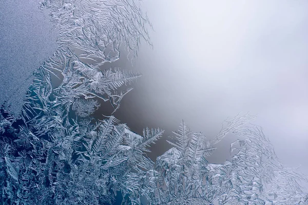 Soyut Don Arkaplanı Eğreltiotu Penceredeki Doğal Buz Kristalleri Metin Için — Stok fotoğraf