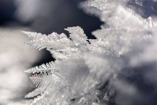 Real frozen ice crystals in different formations, winter background. 