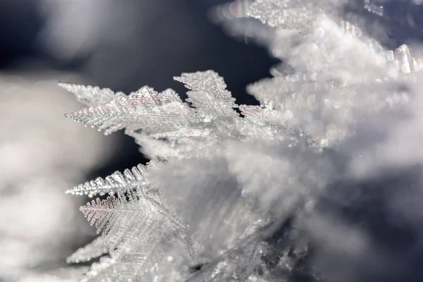 Cristais Gelo Congelados Reais Diferentes Formações Fundo Inverno Fotografia De Stock