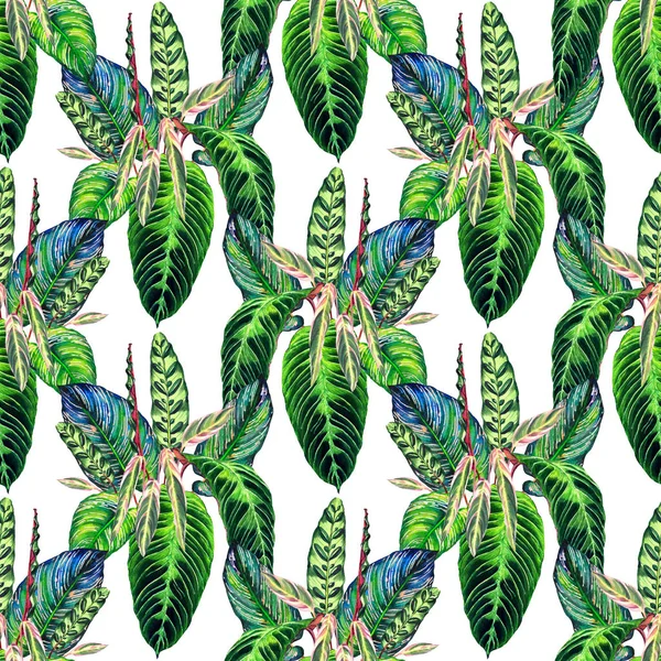 Tropical foliage pattern
