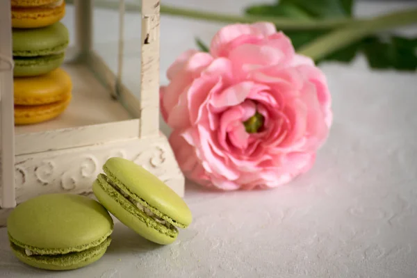 Französische Dessert-Macarons mit Rosenblüten — Stockfoto