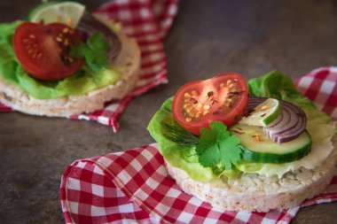 Marul, domates, salatalık, soğan ve maydanoz ile sağlıklı gıda - sandviçler, pirinç kek