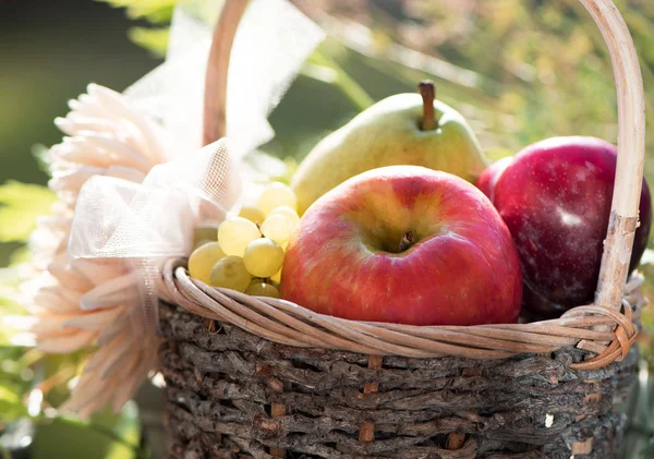 Una cesta de manzanas frescas, peras y ciruelas en la hierba, puesta de sol — Foto de Stock