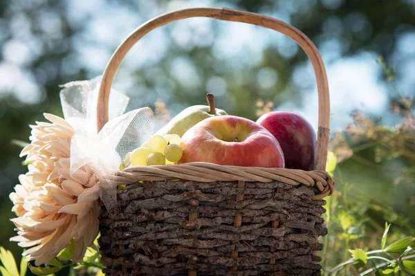 Una cesta de manzanas frescas, peras y ciruelas en la hierba, puesta de sol — Foto de Stock