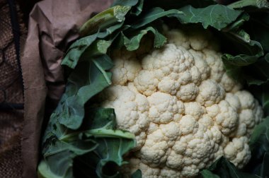 Taze karnabahar hasat. Taze malzeme çekme lahana