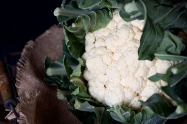 Taze karnabahar hasat. Taze malzeme çekme lahana