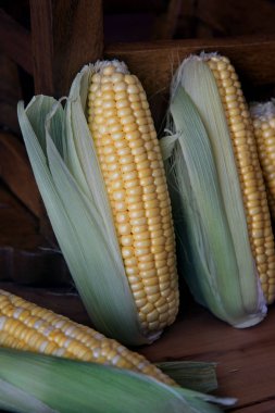 Taze mısır koçanı rustik ahşap zemin üzerinde