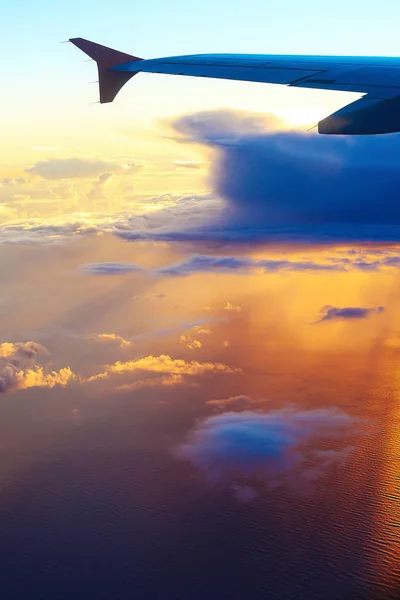 テル ・ アビブの日没の空の背景に飛行機の翼 — ストック写真