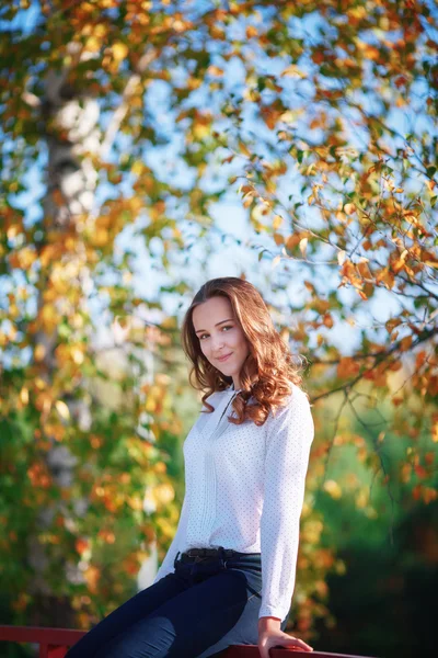 Atractiva joven sentada en colorido parque de otoño, sesión vertical — Foto de Stock