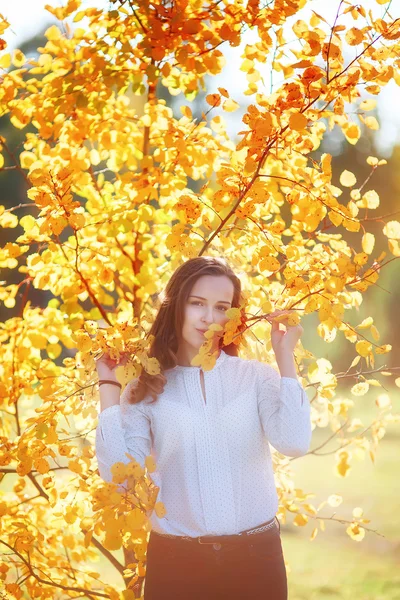 Jovem atraente em folhas amarelas de outono, luz solar — Fotografia de Stock
