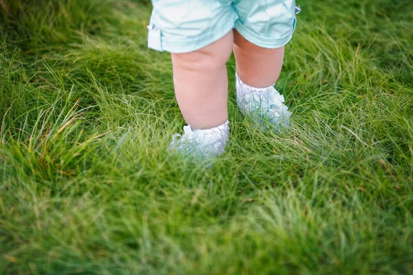 Pierwsze kroki z małą dziewczynką w lato park na trawie — Zdjęcie stockowe