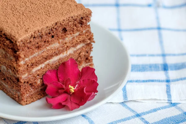 Pezzo di torta al cioccolato in piatto su asciugamano bianco — Foto Stock