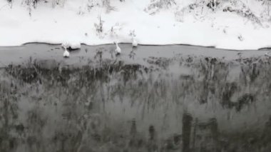 Kar taneleri düşüyor, kar yağışı. Doğal kış manzarası. Nehir