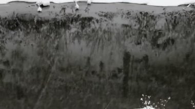 Kar taneleri düşüyor, kar yağışı. Doğal kış manzarası. Nehir