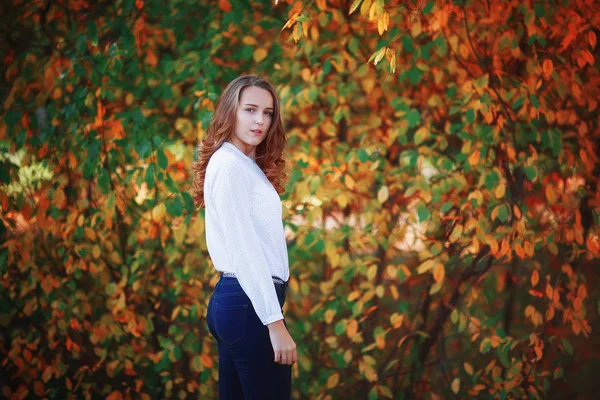 Mladá krásná žena. Dívka v jasných podzimní park, vintage laděných — Stock fotografie