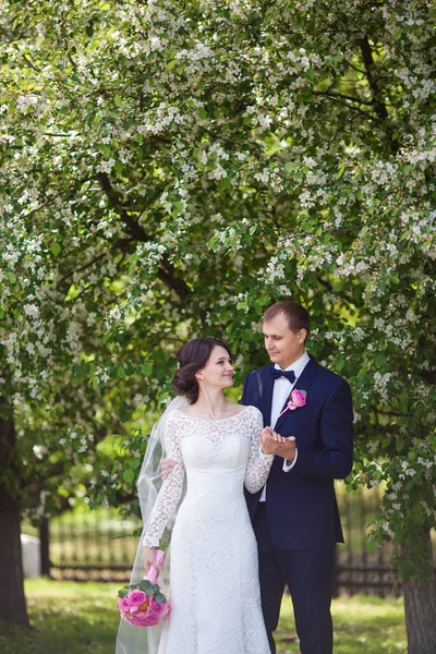 Young groom and bride with wedding bouquet in blooming garden — Stock Photo, Image