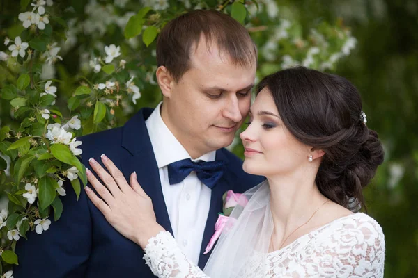 Unga brudgummen och bruden i trädgården, bröllop eller äktenskap koncept — Stockfoto